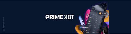 Pocket Option vs PrimeXBT A Comprehensive Comparison