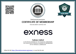 Understanding the Exness Leverage Calculator for Smart Trading